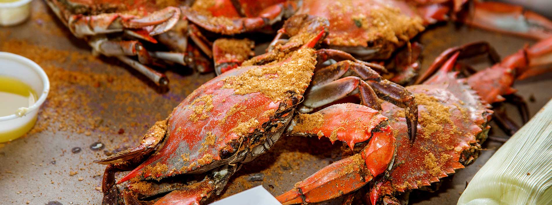 Crab Alley cooks facing the boats